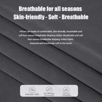 Lumbar Memory Foam Cushion